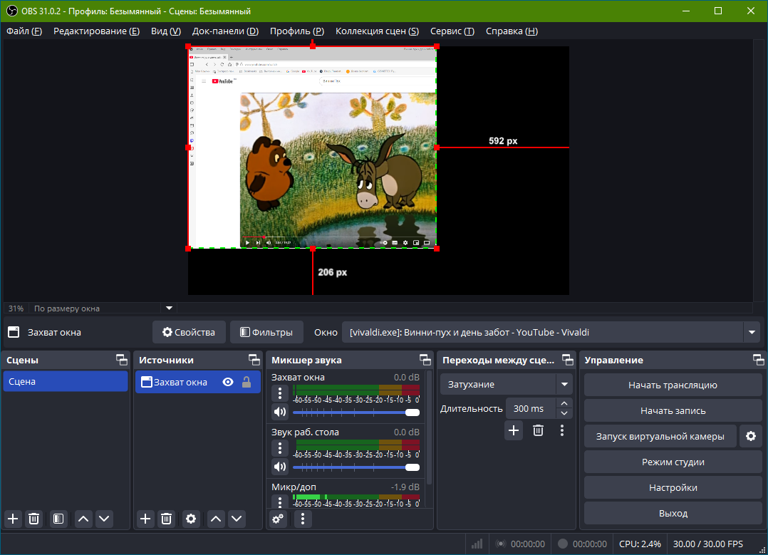 OBS Studio - выбор области для записи видео